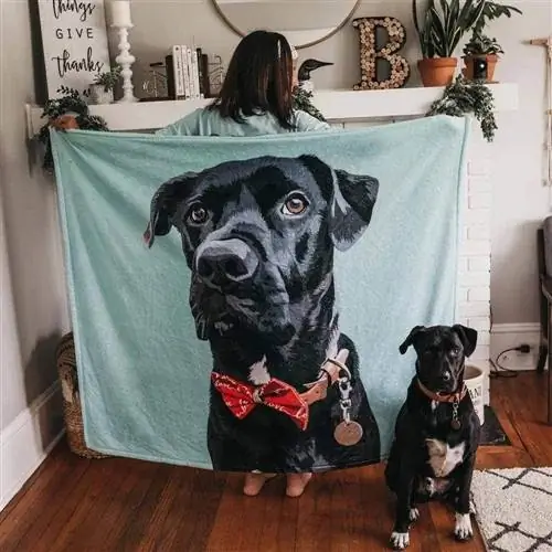 Personalized Throw Dog Blanket-VEELU-Amazon