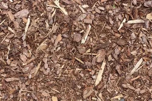 mulch