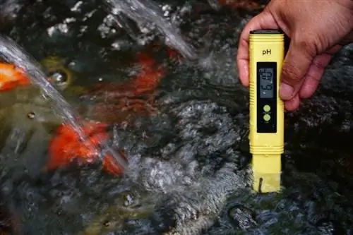 PH checking solution sa aquarium tank