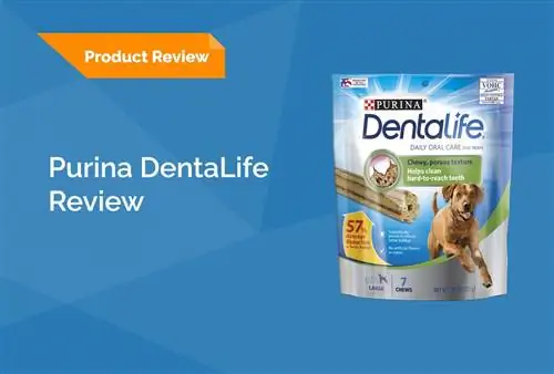 Purina DentaLife šunų kramtukų apžvalga 2023 m.: atsišaukimai, privalumai & minusai