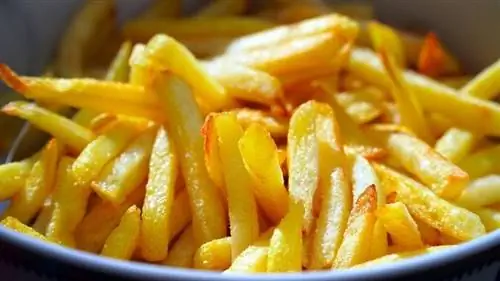 Dürfen Katzen Pommes Frites essen? Was du wissen musst