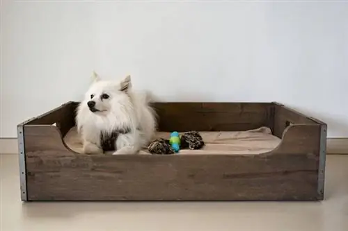 13 DIY Pallet Dog txaj Koj tuaj yeem tsim hnub no (nrog duab)