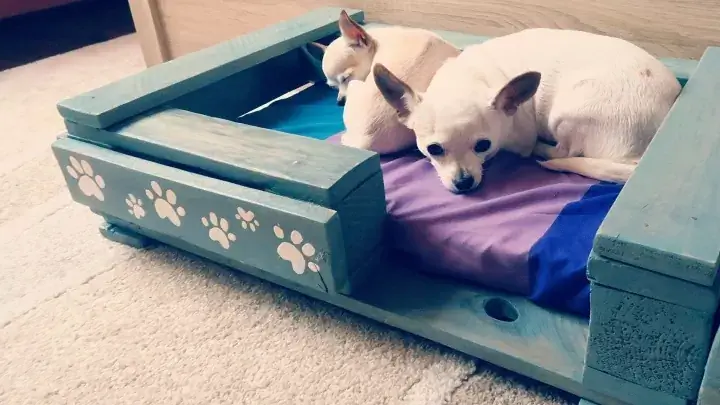 DIY Pet Bed Från Pall