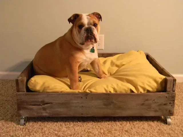 DIY Doggy Pallet txaj