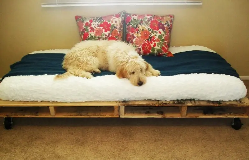 DIY Kuv Pallet Daybed