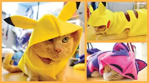 Ρούχα για γάτες και σκύλους DIY - Pikachu, Hoodies και άλλα!