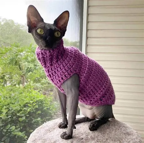 Maglione gatto all'uncinetto