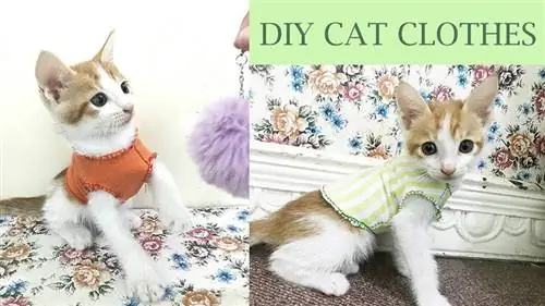 سبک 12 - طرز تهیه لباس گربه | DIY Pet:Cat Clothes | با الگو