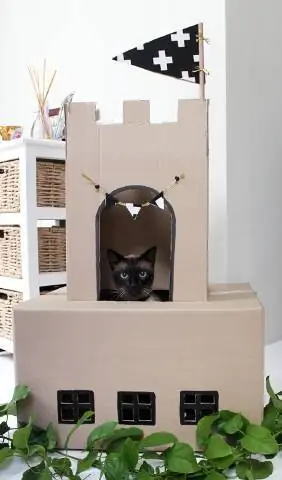 DIY Kitty Castle