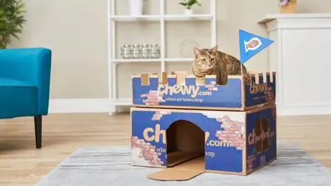 DIY Chewy Box Castle