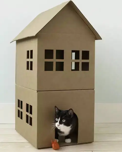 Faça você mesmo como fazer uma casa de papelão para gatos