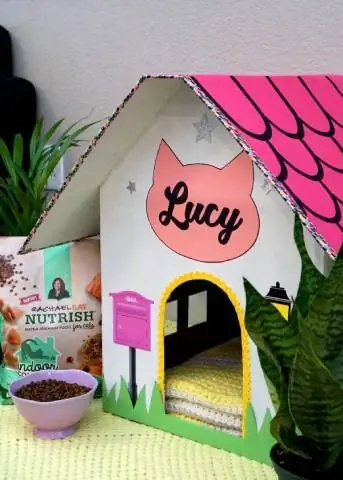 Casa pentru pisici din carton DIY