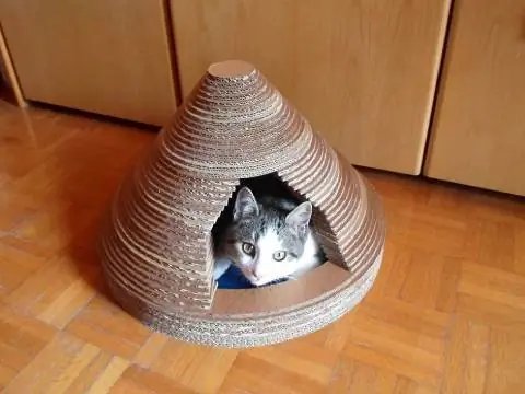 DIY Conical Cat House