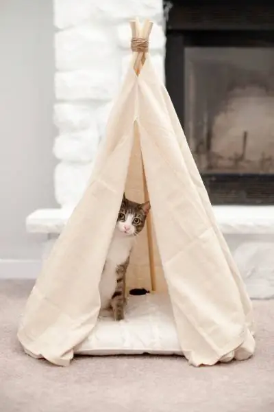 DIY No Sew Pet Teepee საწოლი