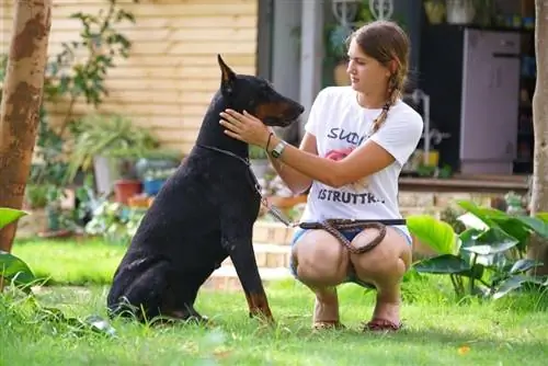 doberman com seu dono no jardim