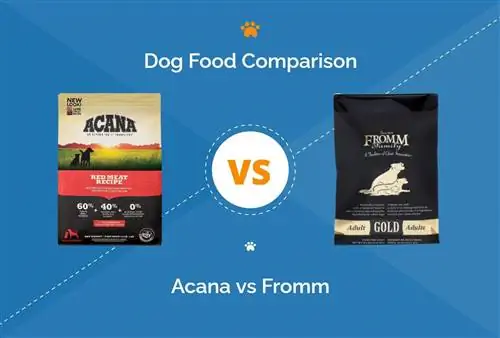 Acana vs Fromm Dog Food (2023 Համեմատություն). Ի՞նչ պետք է ընտրեմ: