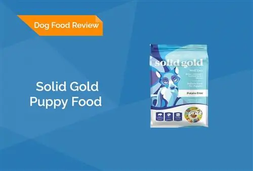 Solid Gold Puppy Food Review 2023. Հիշում է, կողմ & Դեմ