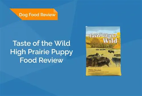 Taste of the Wild High Prairie Puppy Food Review 2023: Herroepings, voordele & Nadele