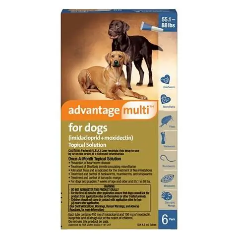 Solution multi-topique Advantage pour chiens