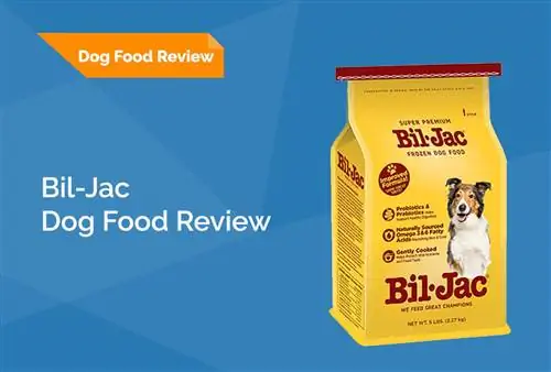 Bil-Jac Dog Food Review 2023: Rechemare, avantaje & Contra