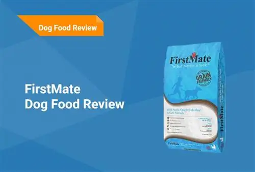 مراجعة طعام الكلب FirstMate 2023: عمليات الاستدعاء والإيجابيات & سلبيات