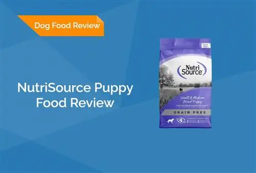 NutriSource Puppy Food Review 2023: عمليات الاستدعاء والإيجابيات & سلبيات