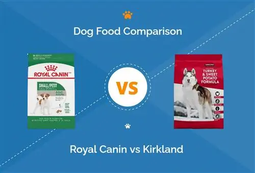 Krmivo pre psov Royal Canin vs Kirkland: Čo si mám vybrať?