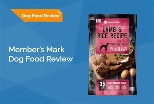 Člen's Mark Dog Food Review 2023: Recalls, Pros & Nevýhody