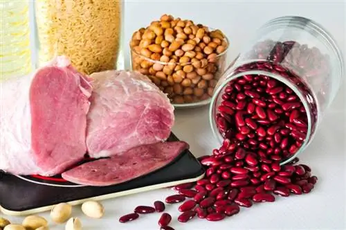 Vitamin B1 TİAMİN olan qidalar qrupu ağ üzərində təcrid olunmuşdur