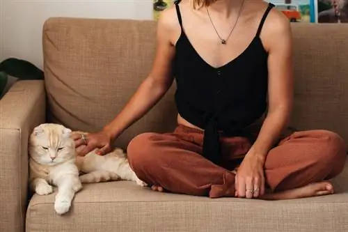 mulher com gato no sofá em uma sala