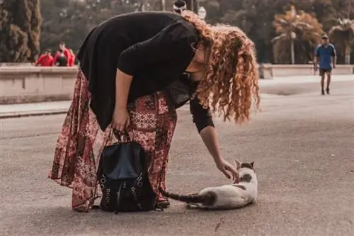 una mujer acariciando a un gato callejero