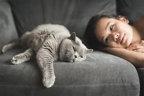 mulher olhando para o gato dormindo