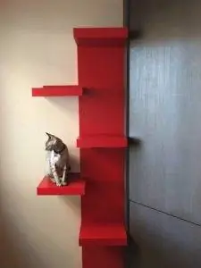 Escalada de árbol de gato de bricolaje