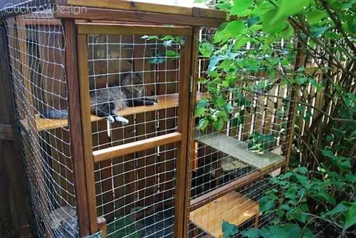 DIY cat run