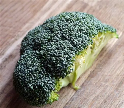 Brocolli