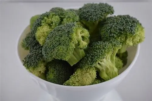 Brocoli