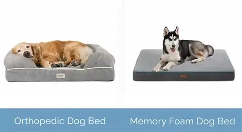 Giường chó chỉnh hình và Memory Foam cạnh nhau