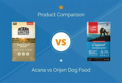 Acana vs Orijen koiranruoka: 2023 vertailu