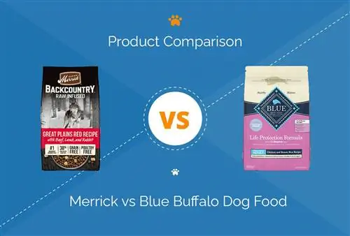 Nourriture pour chiens Merrick vs Blue Buffalo: Comparaison 2023