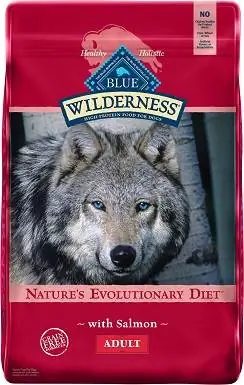 Recette de saumon Blue Buffalo Wilderness Nourriture sèche pour chiens sans grains