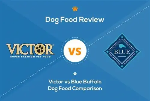 Victor vs Blue Buffalo koiranruoka: 2023 vertailu