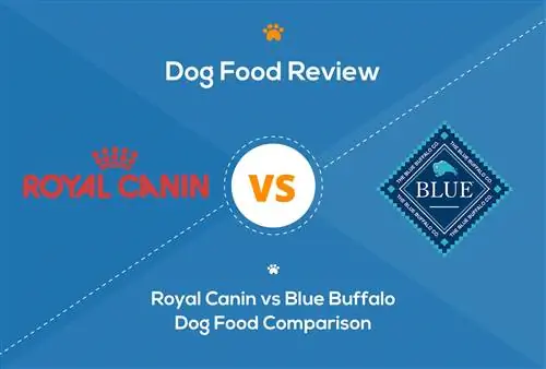 Aliments per a gossos de Royal Canin i Blue Buffalo: comparació del 2023