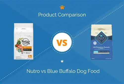 Nutro vs. Blue Buffalo Hundefutter: Vergleich 2023