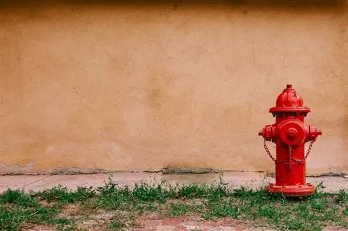 červený požiarny hydrant pri béžovej stene