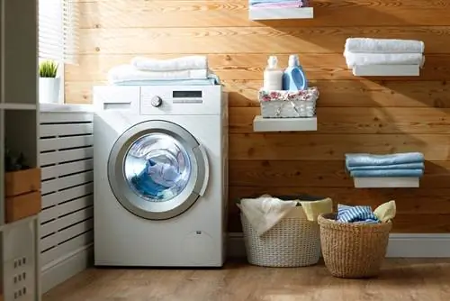 Un sèche-linge tue-t-il les puces ? Faits approuvés par le vétérinaire & FAQ