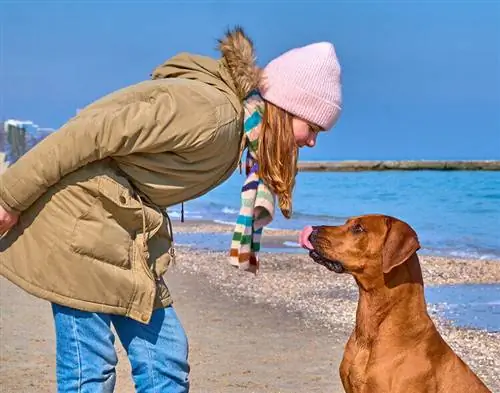 rodézsky-ridgeback-tréning-majiteľ-pláž