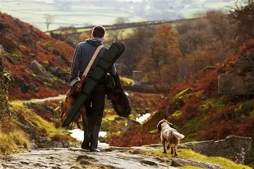 l'homme et le chien sont allés à la chasse