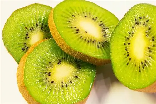 tæt på skiver af kiwi