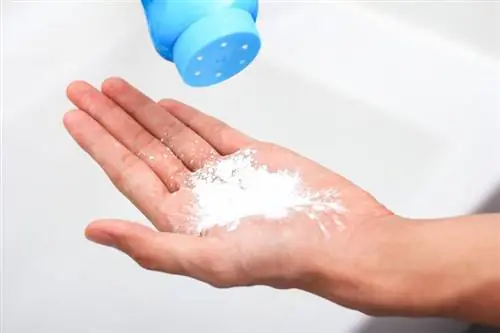 Appliquer de la poudre de talc sur la main_Onlyshaynestockphoto_ Shutterstock