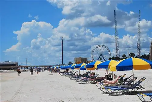 Er Daytona Beach hundevennlig? Hva du bør vite før du drar